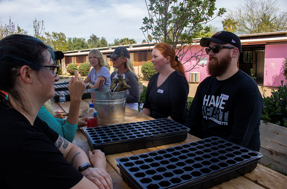 LAVIDGE IMPACT volunteers plant flower seeds at Hunkapi Farms.